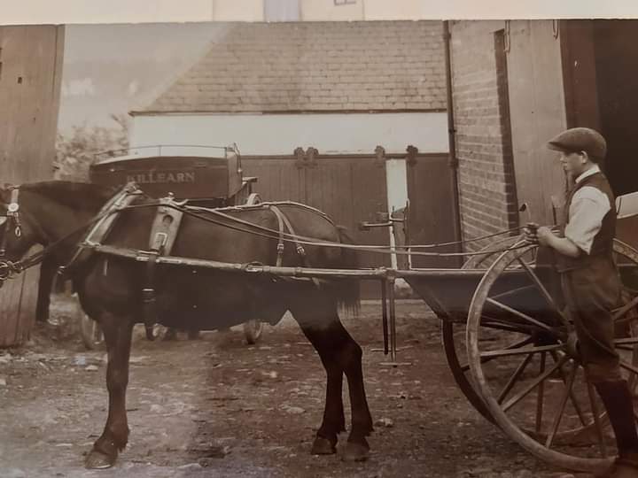 The village carter with his horse and cart at Killearn