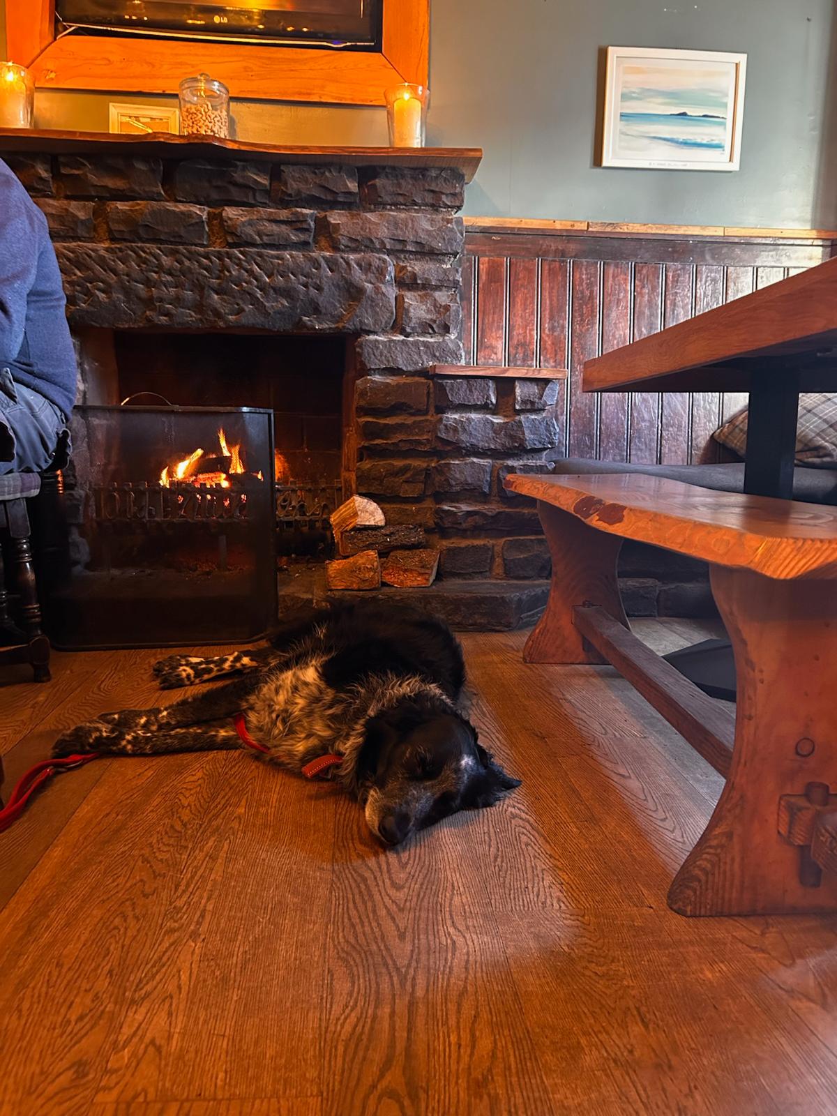A spaniel sleeping beside the fire by the wooden tables in the bar